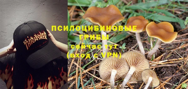 соль курить ск Алзамай