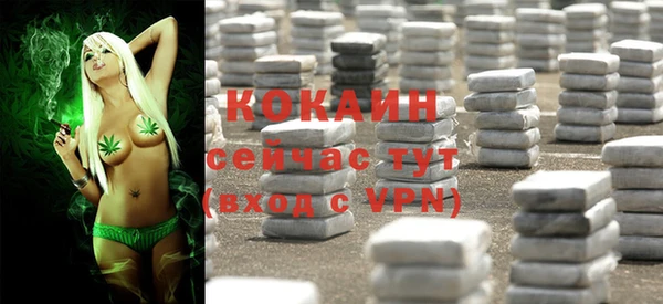 соль курить ск Алзамай