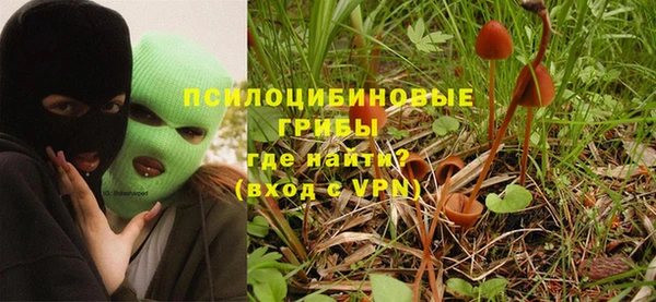 соль курить ск Алзамай