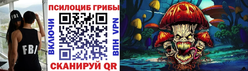 наркота  Минусинск  Псилоцибиновые грибы Psilocybine cubensis 